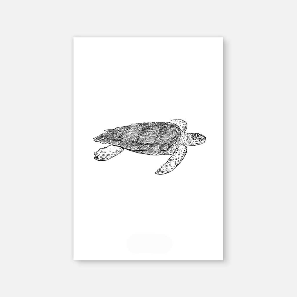 Hiasan Dinding Hiasan Kamar Wall Decor Turtle - WD51