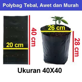 Polybag 40x40 CM ECERAN 1 Plastik polibek / u pot kantong semai benih bibit tanaman per lembar 40 x 40