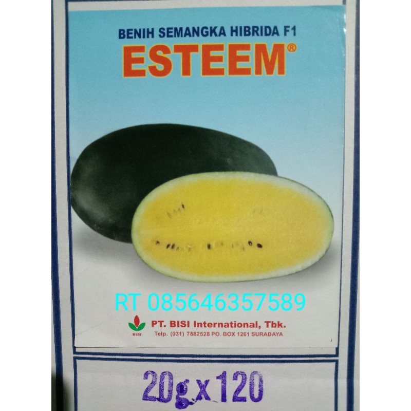 Semangka Inul Esteem