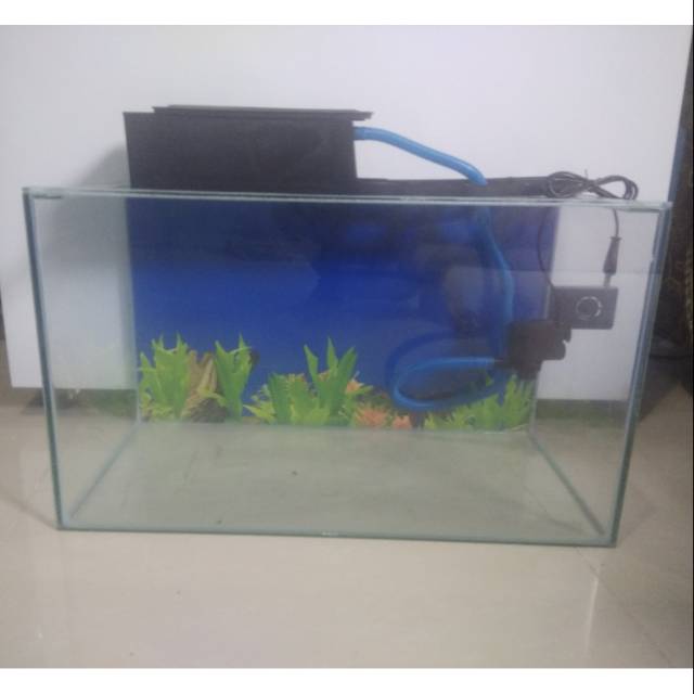 aquarium 60cm x 30cm x 35cm serta mesin filter komplit box besar.