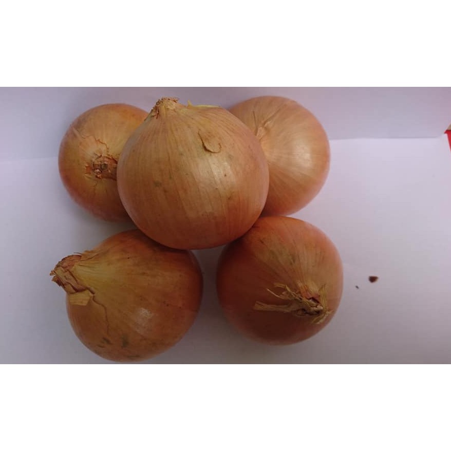 

Bawang Bombay 500 Gram