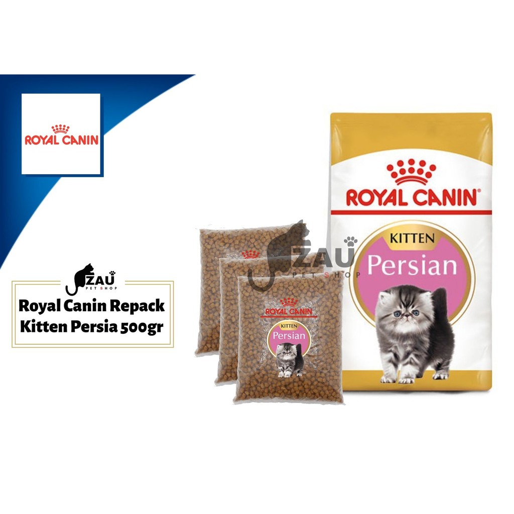 Royal Canin Kitten Persian Repack 500gr
