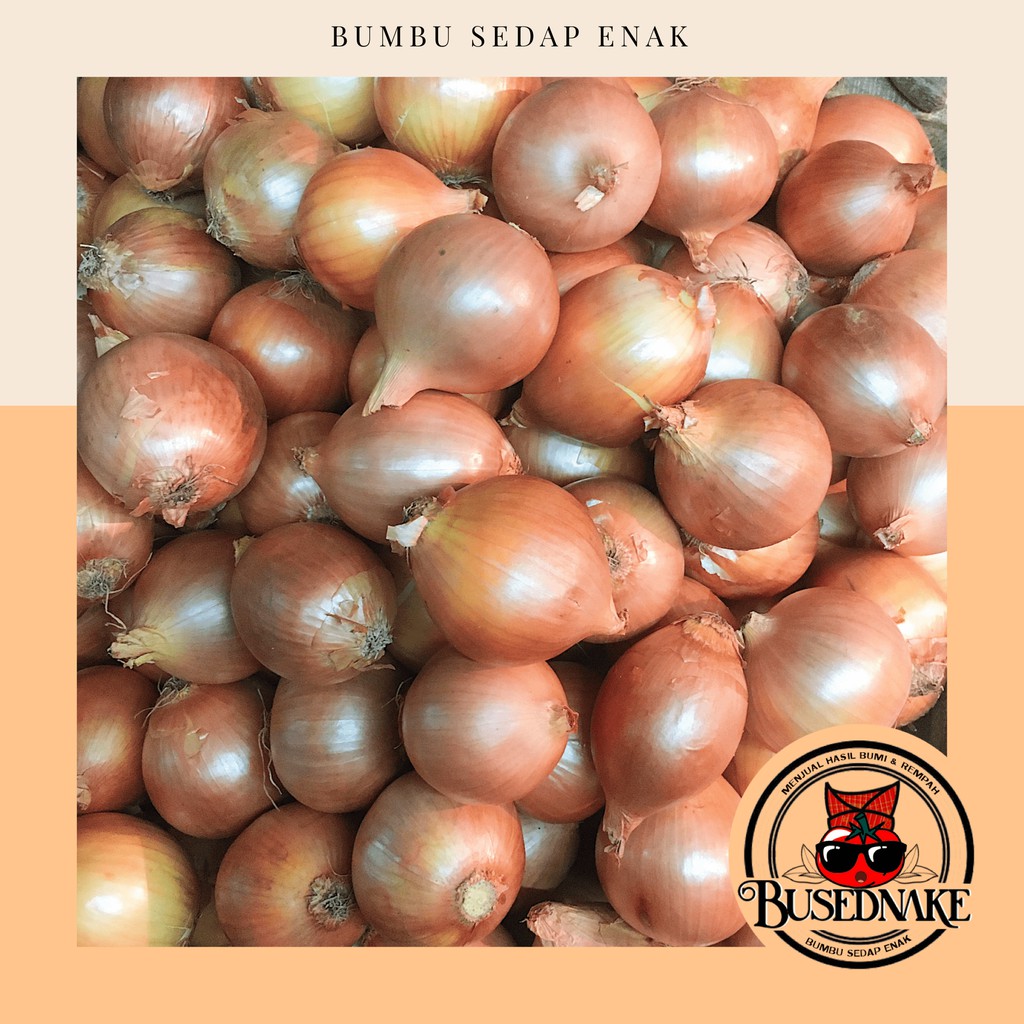 

500gr Bawang Bombay Import