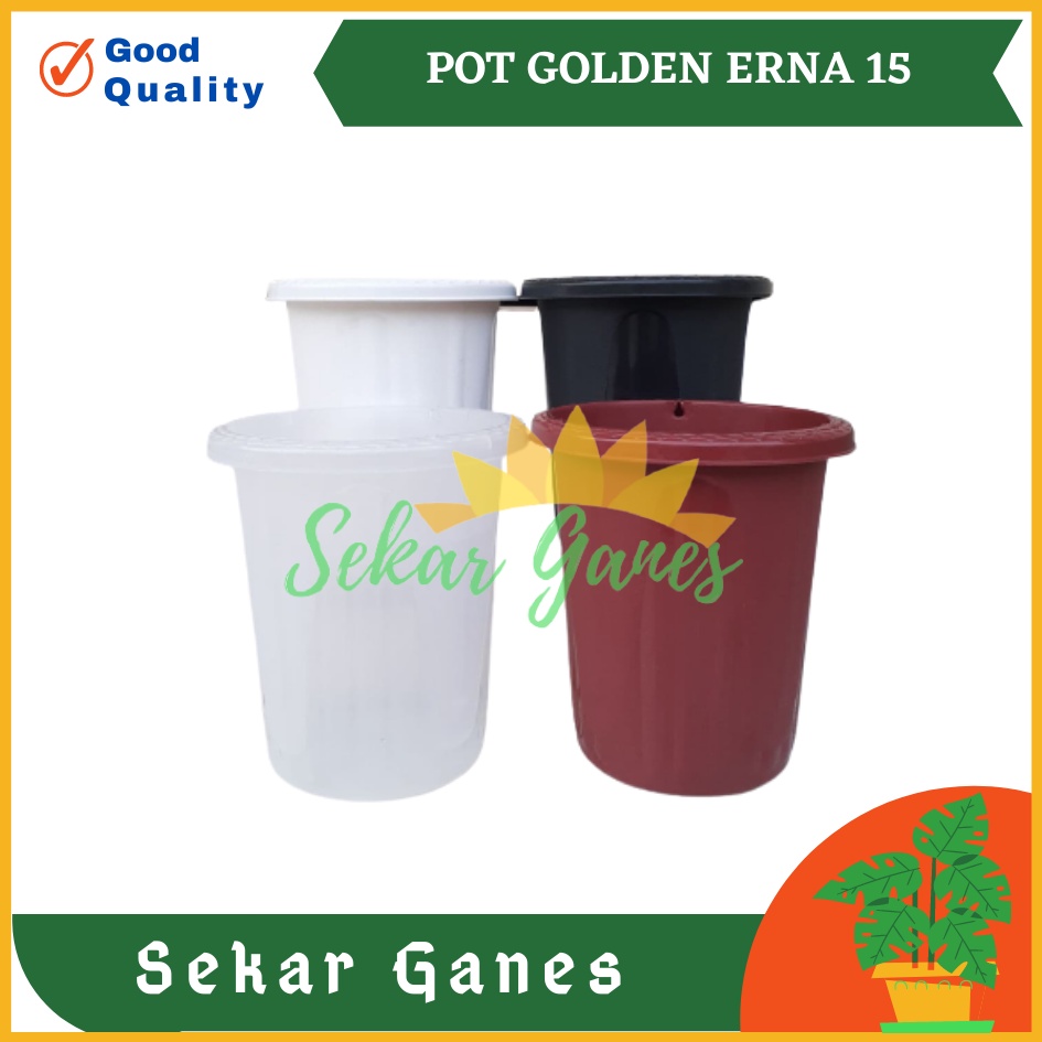 Pot GE15 Golden Erna 15 Putih Bening Transparan Hitam Merah Bata Coklat Terracota Terracotta Garden Of Love Mirip Pot Yogap Ypt 10 13 15 Putih Coklat Merah Bata Bening Transparan Pot Yogap 17 18 19 Pot Yogap Murah Pot Bunga Tinggi Pirus Tegak Bagus Tebal