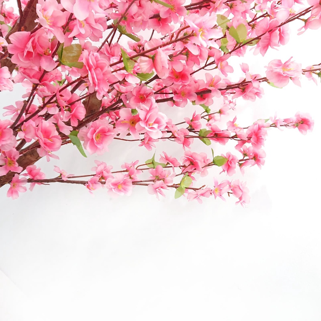 Pohon Sakura Hias Tinggi Imitasi Artificial Import Tanaman Hias Plastik Ornamen Pajangan Dekorasi Rumah Tanaman Hias Sakura 1 meter cantik Tanaman Hias Sakura Azgalery PBP80