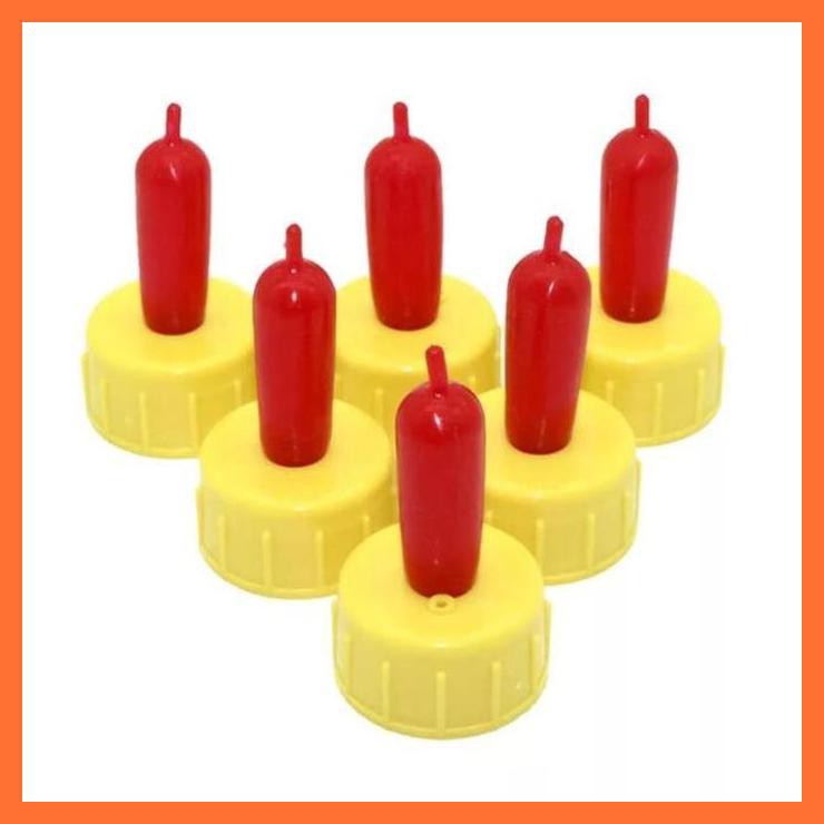 Dot Kambing Dan Domba