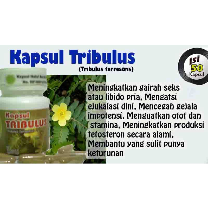 TRIBULUS-Kapsul Herbal Penyubur Sperma Pembangkit Libido Pria Wanita