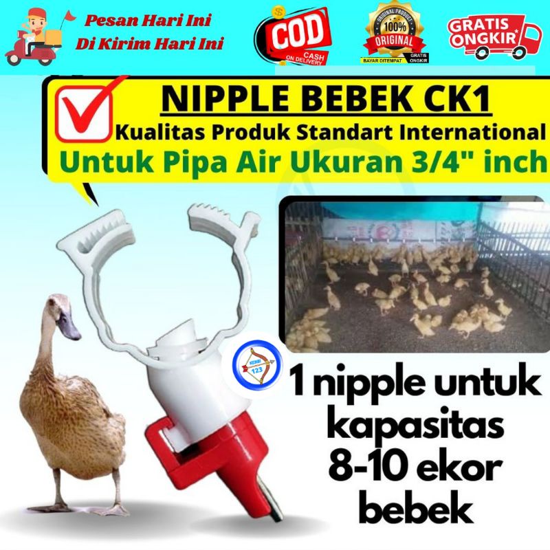 Nipel Niple Bebek Ck1 Alat Minum Niplle Nipel Nepel Bebek KENBI123