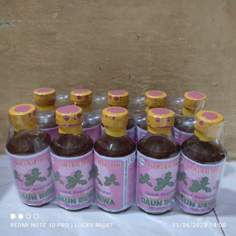 obat/jamu asam urat dan pegel linu