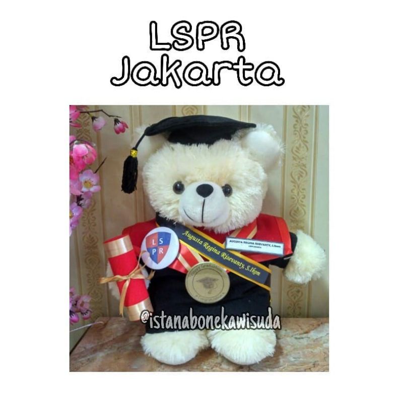 (SEHARI JADI) BONEKA WISUDA UNIVERSITAS LSPR JAKARTA