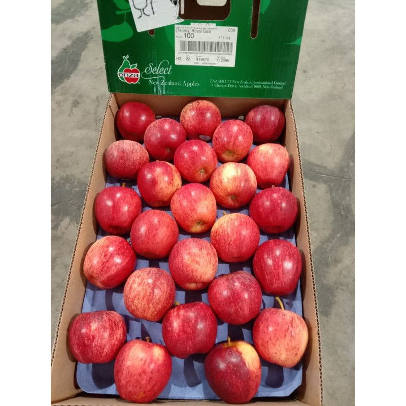 

Apple Royal Gala 1KG