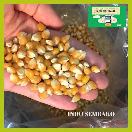 

5Yer67R- Jagung Popcorn Mentah Kingpop / King Pop 1 Kg T7Rty67-