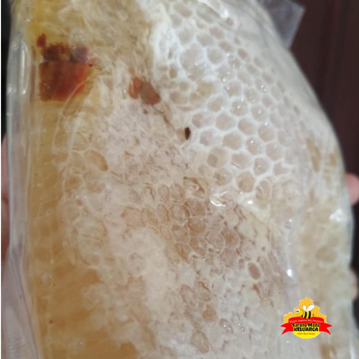 

Honey comb/Sarang Madu Asli/Madu Sarang/Sarang Madu Murni Cerana 500 gram