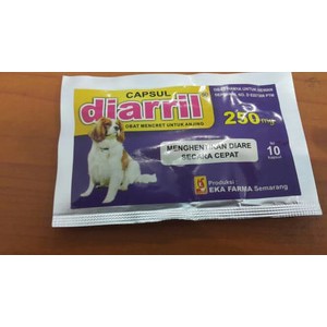 Obat Mencret Anjing Diare Anjing Diarril