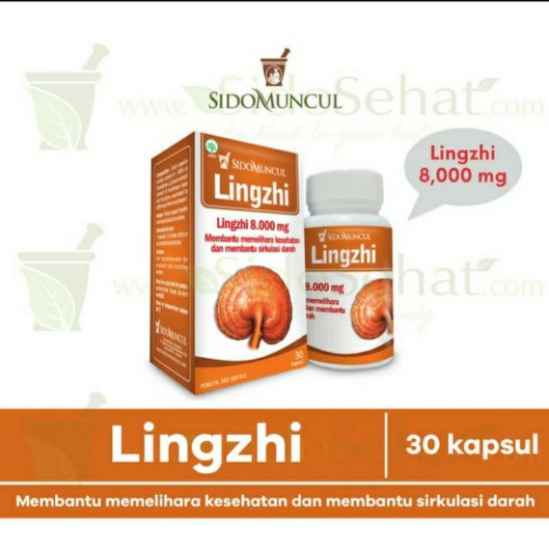 Jual LINGZHI SIDOMUNCUL ( UNTUK DAYA TAHAN TUBUH ) Shopee Indonesia