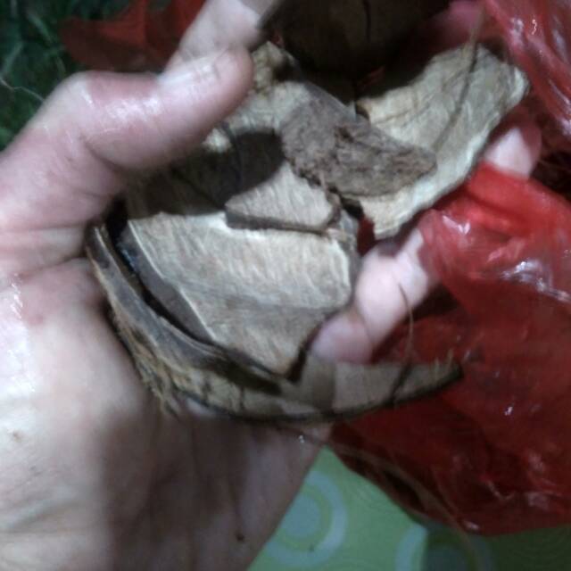 Media arang batok kelapa 1kg