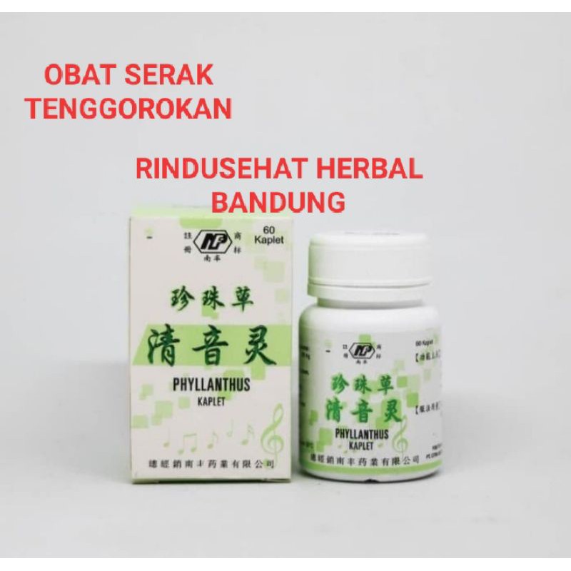 PHYLLANTHUS (Nan Fung)tablet obat herbal suara serak