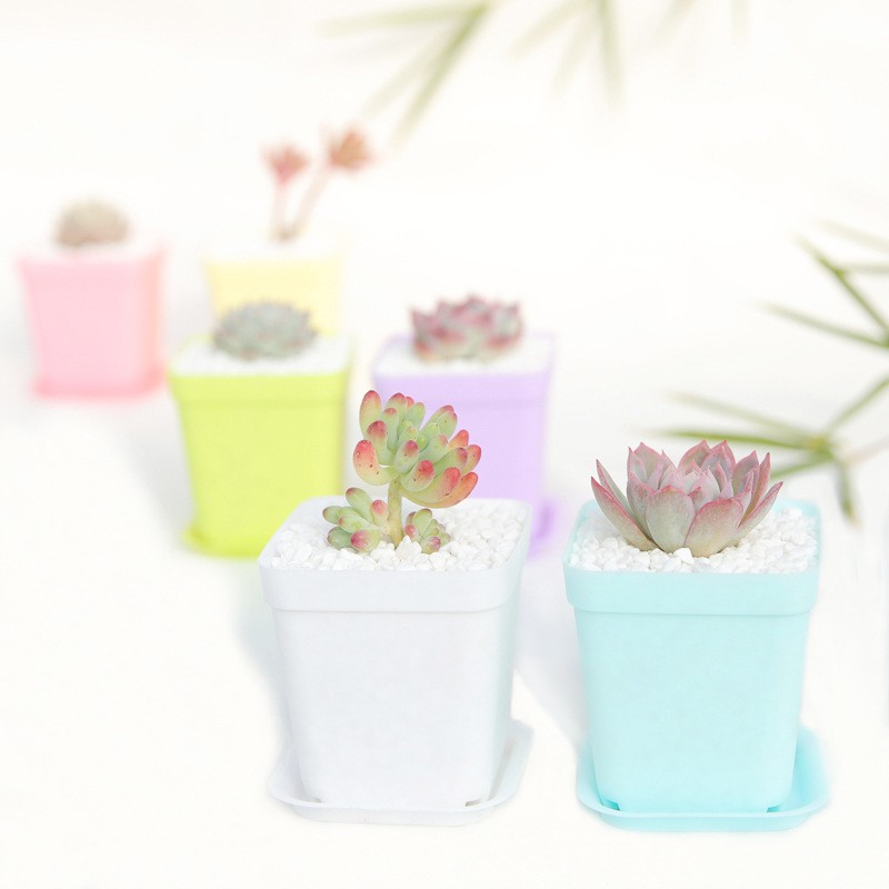 WJ0018 Pot Mini Kotak 7CM Rainbow Pastel Series Persegi Mini Pot Kaktus / Pot Sukulen