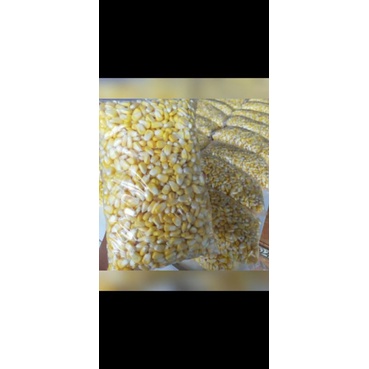 

jagung pipil