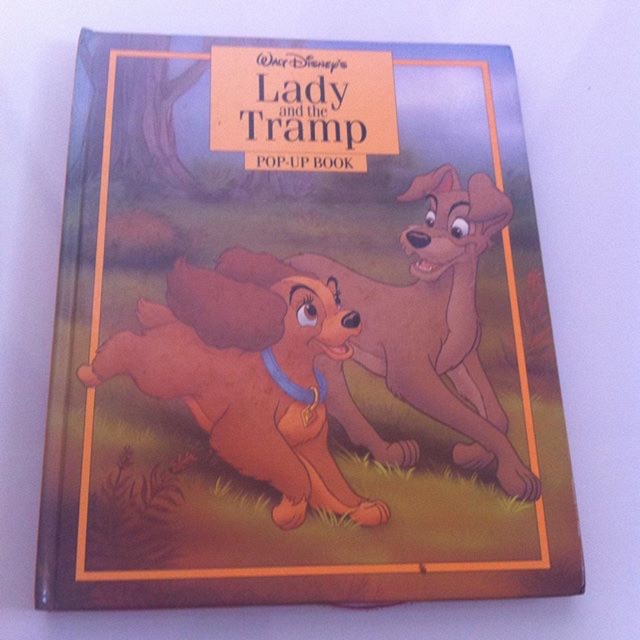 PRELOVED POP UP BOOK ANAK