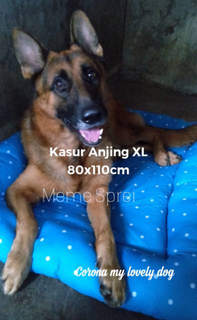 Kasur Anjing XL 80x110cm Dog Bed XL untuk Anjing Besar