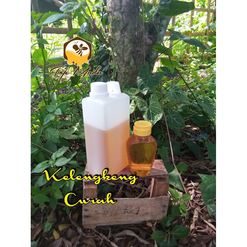 

Madu Kelengkeng Curah isi Bersi 1kg - MMD1300