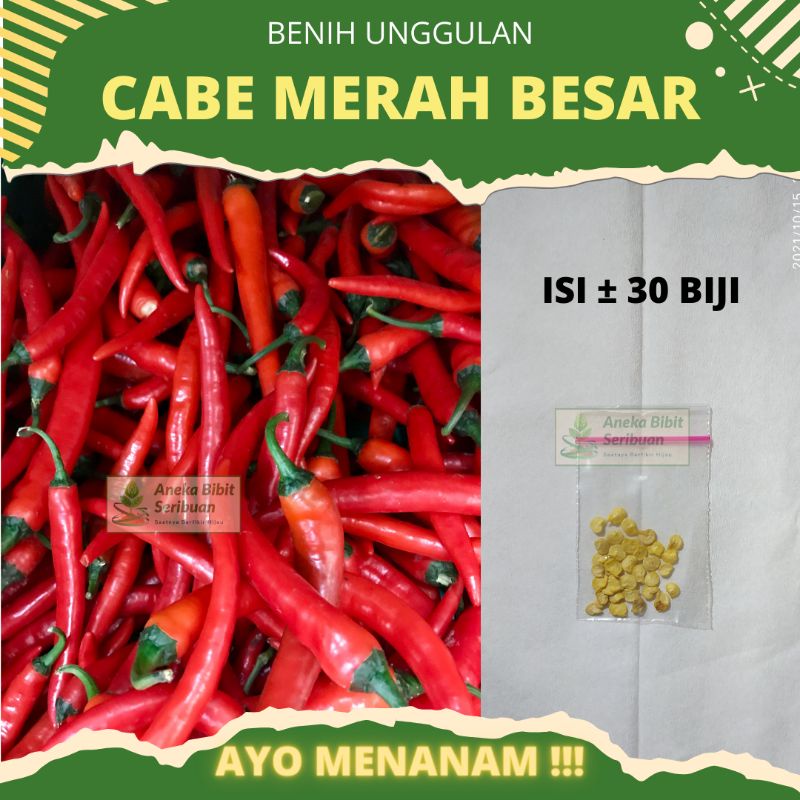 30 biji - Benih Cabe Merah Besar unggulan benih sayuran buah cabe