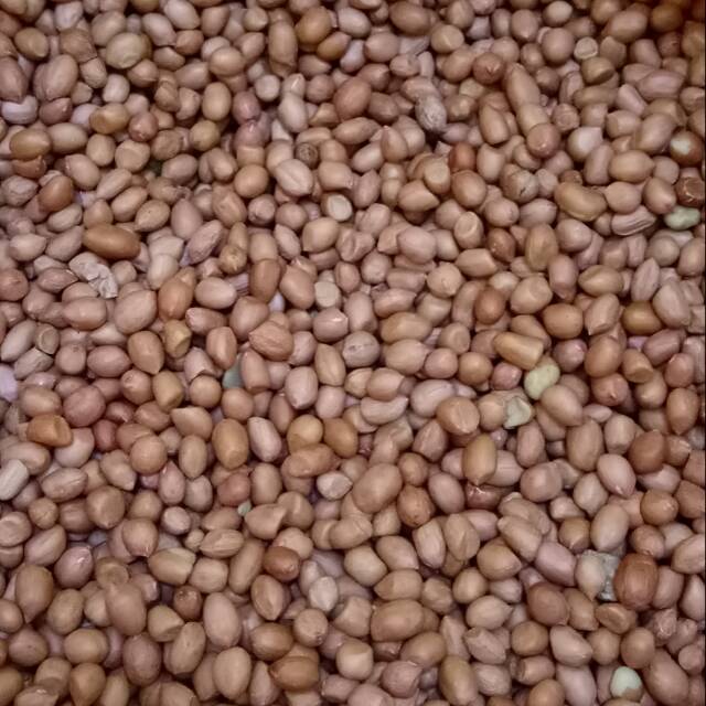 Kacang Tanah 1 kg