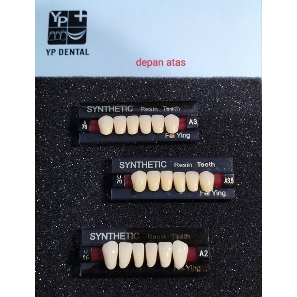 Gigi Palsu Depan Acrylic YP dental