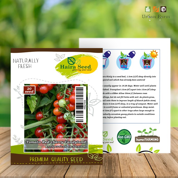 Benih-Bibit Tomat Red Cherry Candyland (Haira Seed)