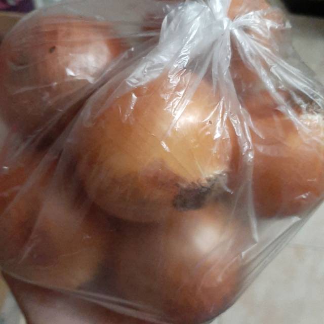 

Bawang bombay besar