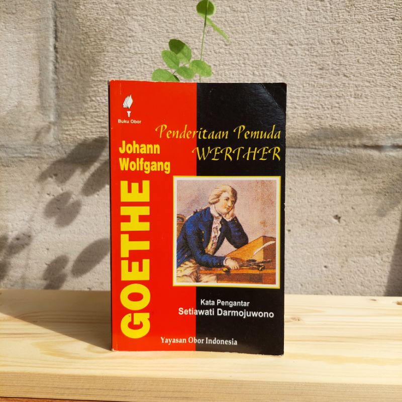 Penderitaan Pemuda Werther - Goethe