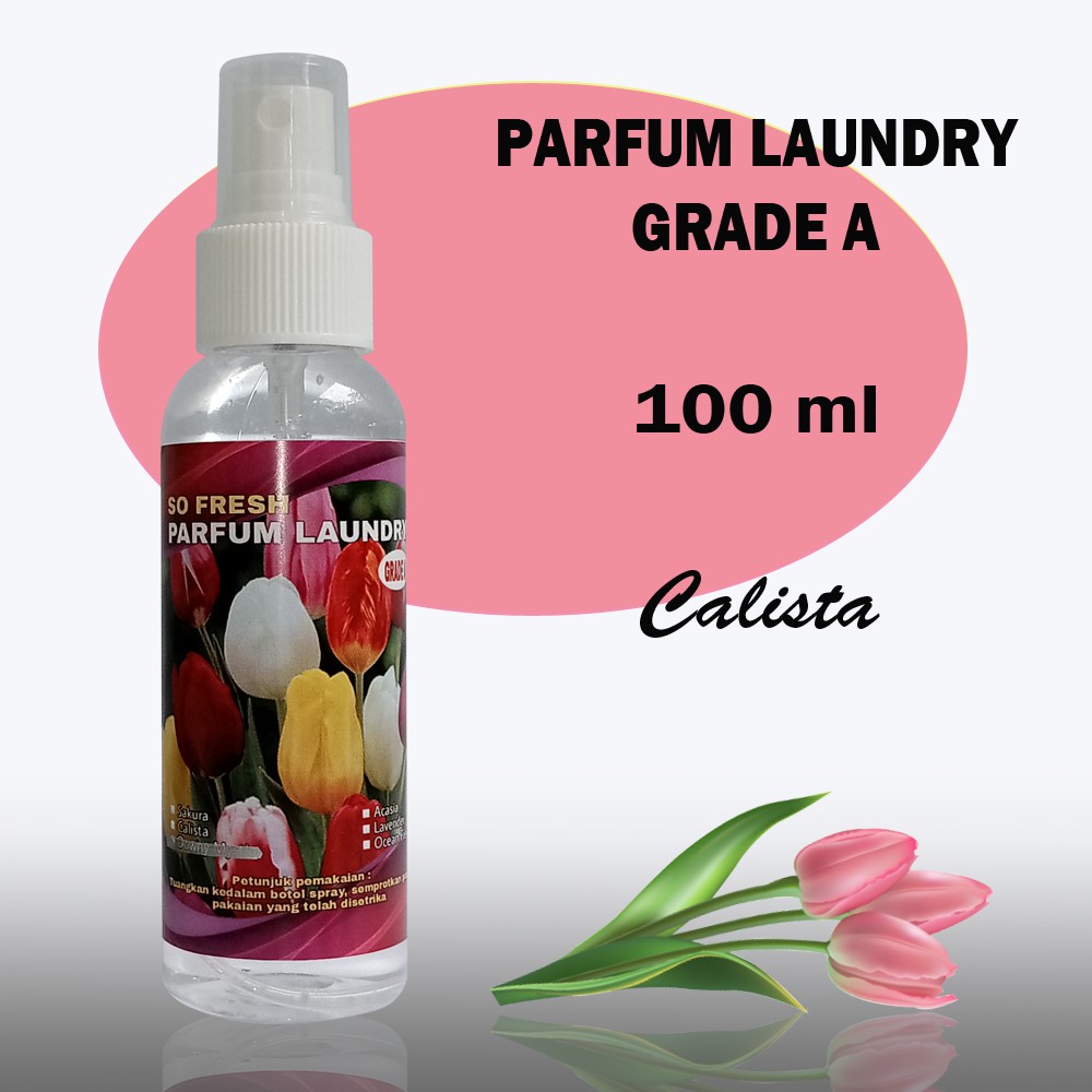 PARFUM LAUNDRY 100 ML