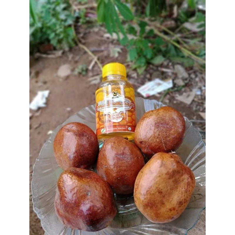 

paket hemat buah zuriat mesir super premium kualitas terbaik