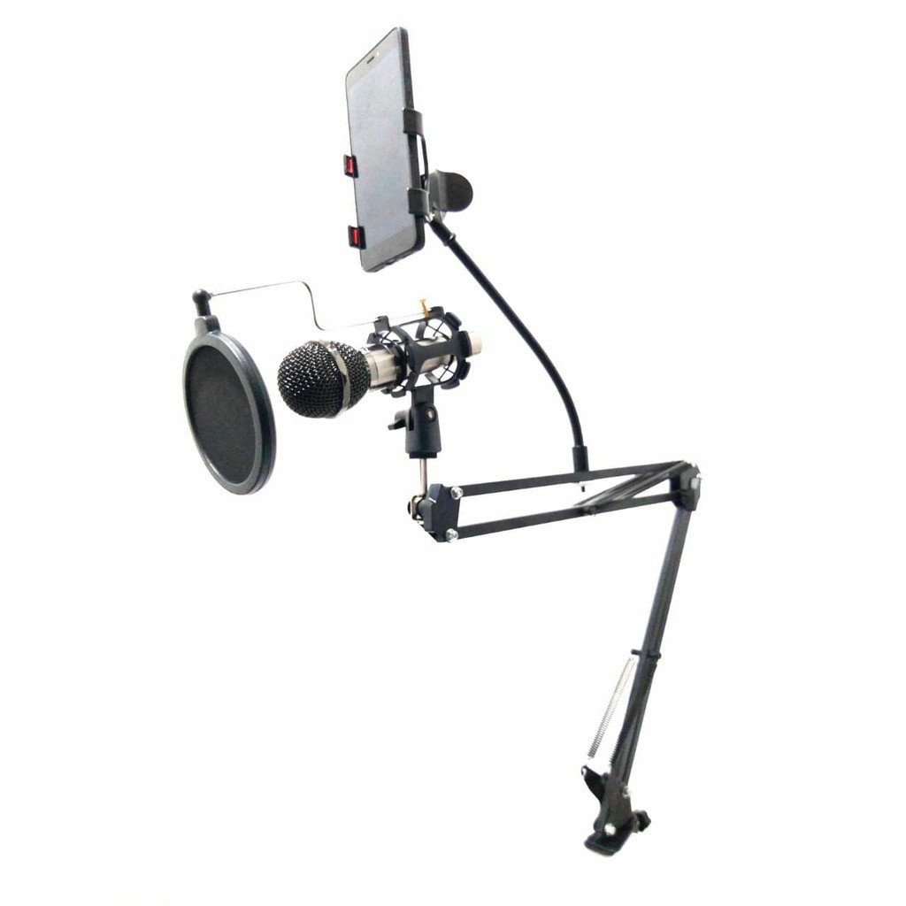 Stand Mic Recording Stand Microphone Recording