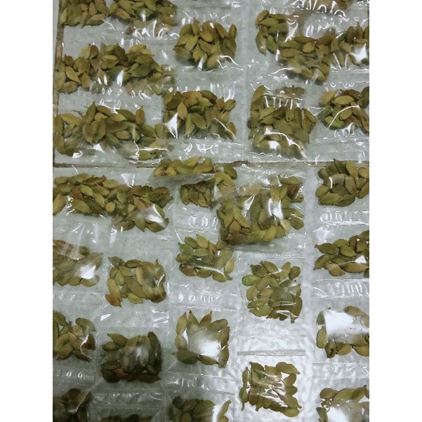 Kapulaga hijau/Kapulaga India/Kapulaga Arab