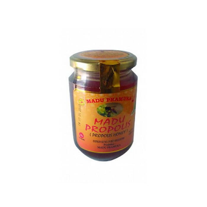

Madu Propolis Pramuka 400gr - MMD2558