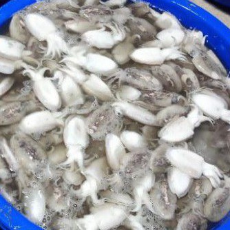 

Sontong Sotong Fresh