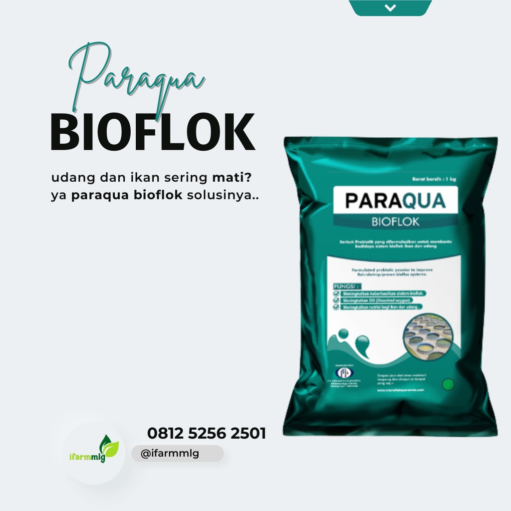 Paraqua Bioflok 1 Kg – Probiotik Udang untuk Kolam Bioflok – Probiotik Udang Bioflok Hasil Maksimal 