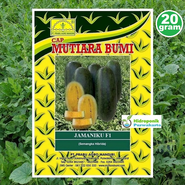 Benih Semangka JAMANIKU F1 Tipe Inul Daging Kuning Isi 20 Gram Cap Mutiara Bumi