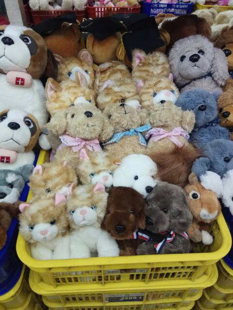 Boneka dog anjing assorted chi Hua hua animal 20cm dog souvenir