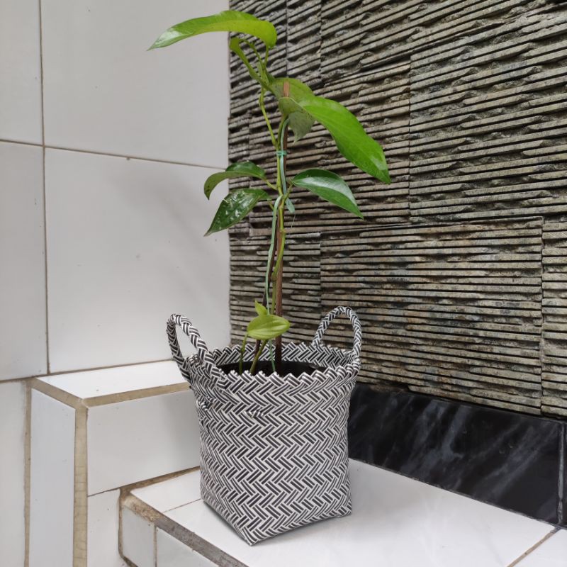 Cover Pot Anyaman/ Cover Pot Plastik/ Cover Pot Anyaman Lurik Murah