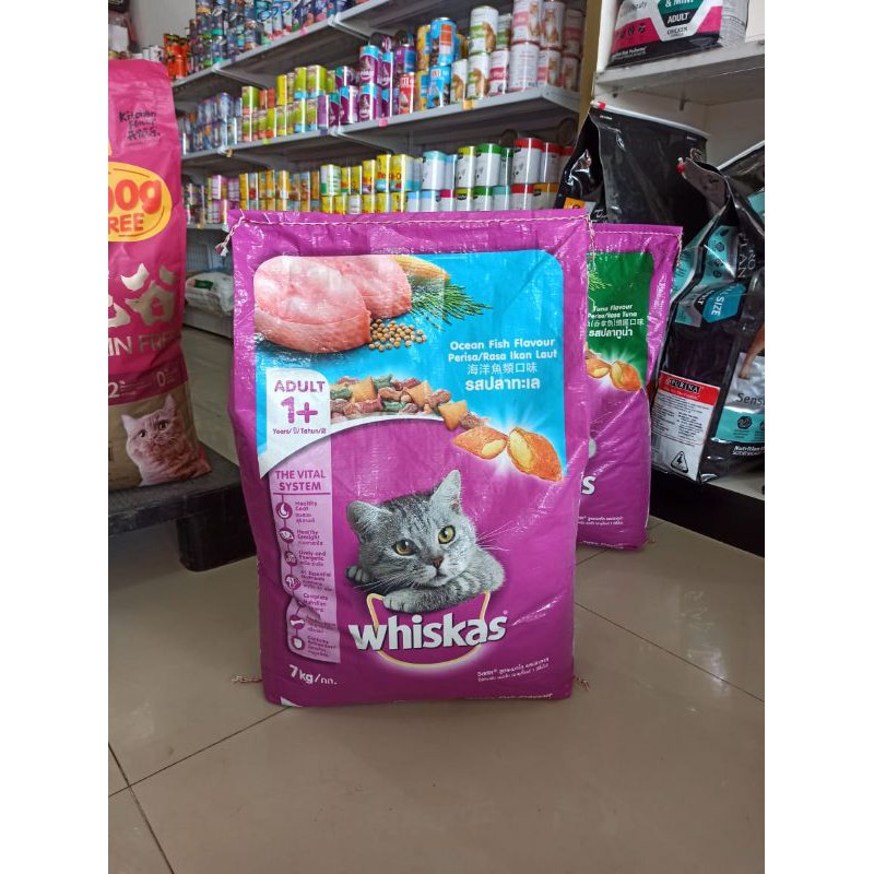 Whiskas Ocean Fish Adult 7kg 1+ (Ekspedisi) makanan kucing adult dryfood catfood