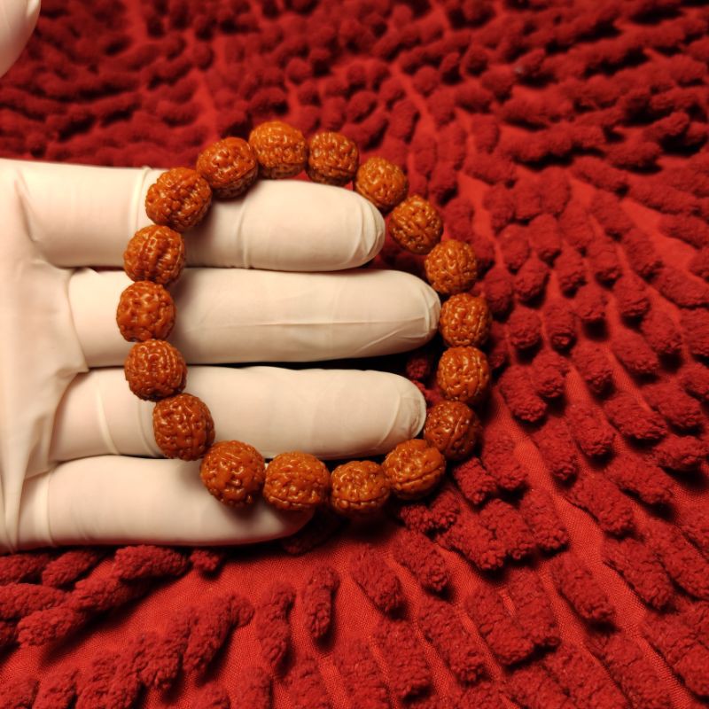 jenitri rudraksha coklat gelang