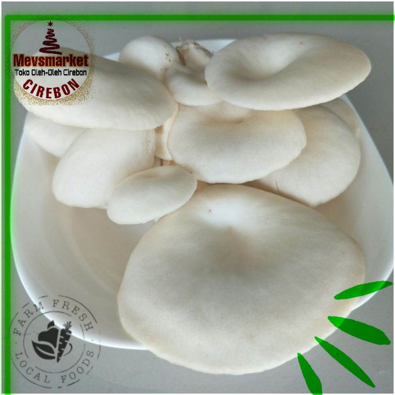 

Jamur Tiram Fresh 200 gram - Mevsmarketcirebon
