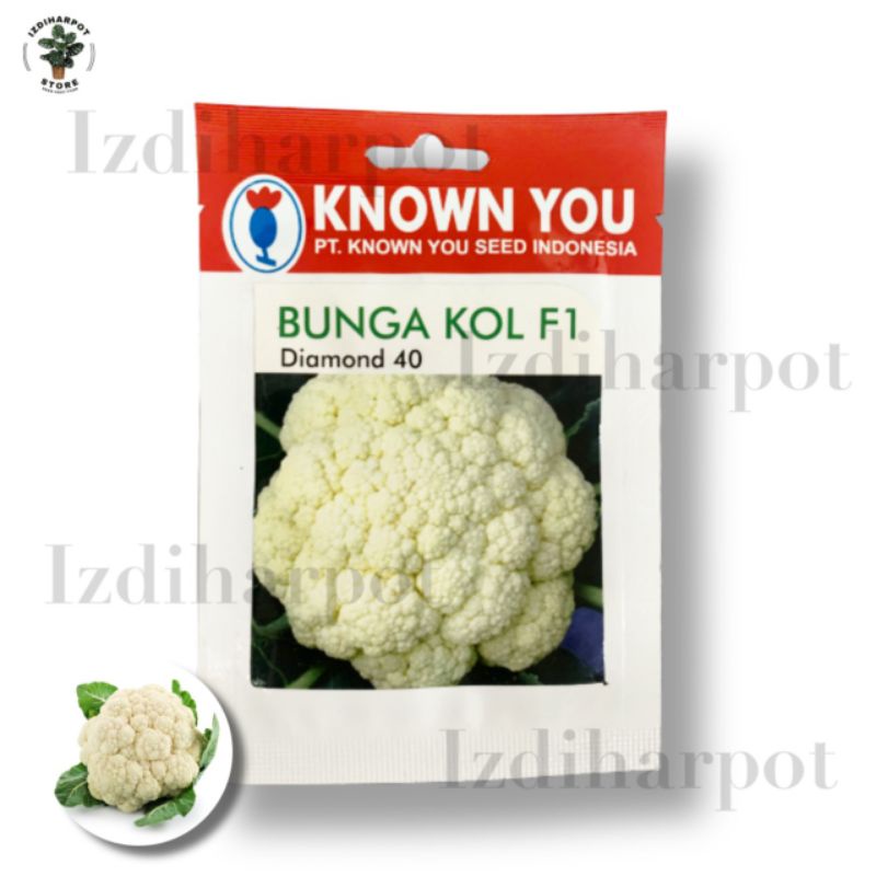 benih bibit BUNGA KOL F1 DIAMOND 40 known you seed - KYS BUNGA KOL F1