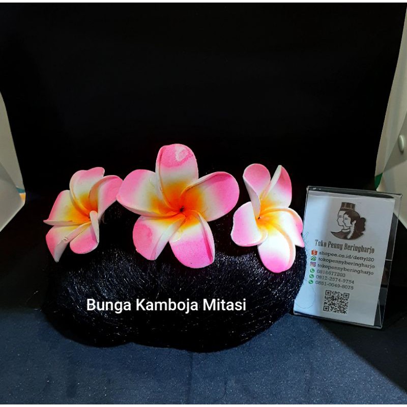 Bunga Kamboja