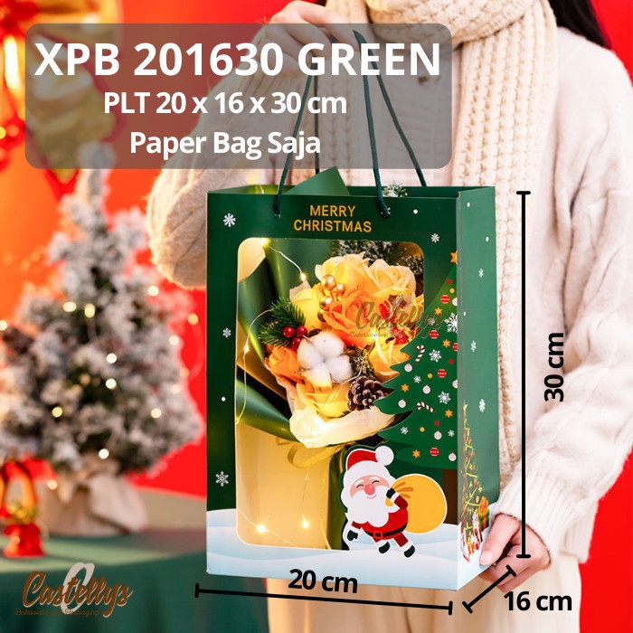 

Terlaris Paper Goodie Bag XPB 201630 Kue Hampers Hadiah Kado Natal Christmas - Hijau
