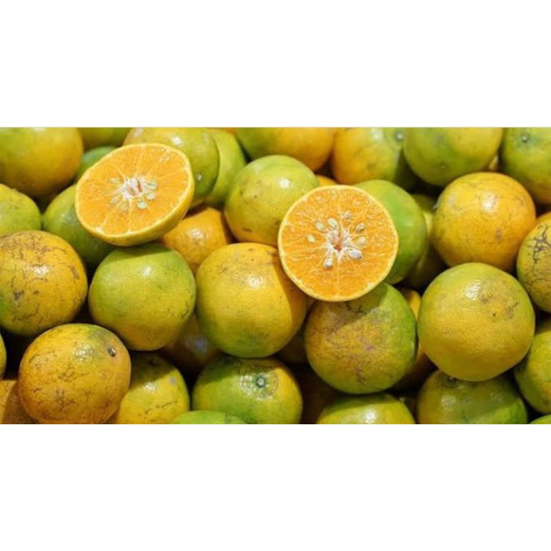 

Buah Jeruk Keprok Manis Segar