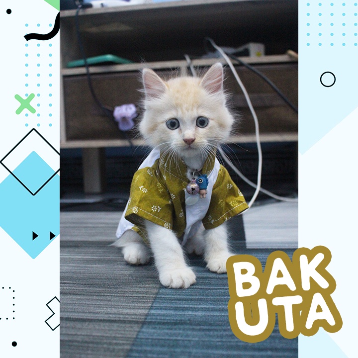 Bakuta - Baju Koko Kucing Lebaran Terlaris Sepanjang Massa / Baju kucing Harga Spesial Size S-XL